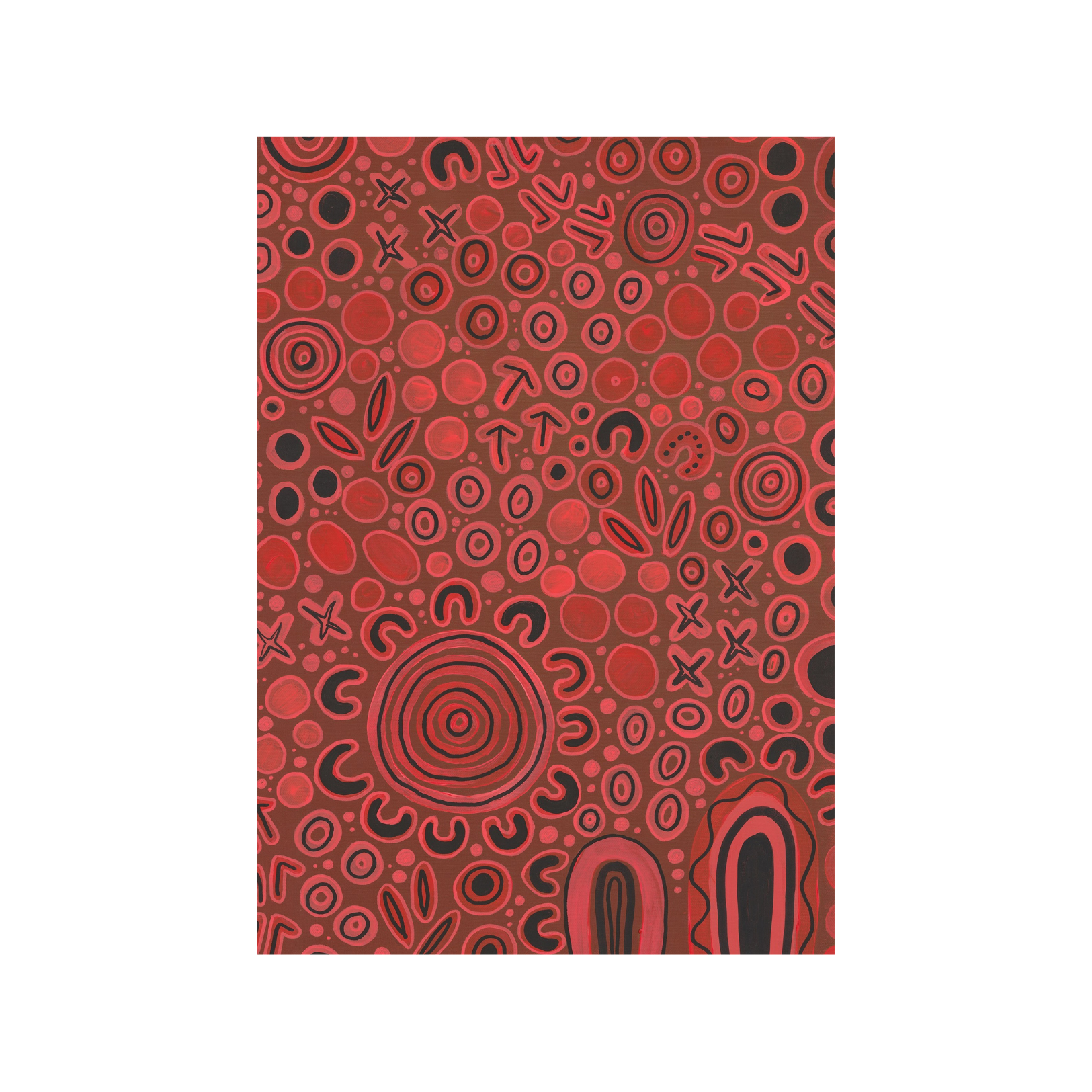 Melbourne Renegades Canvas Print