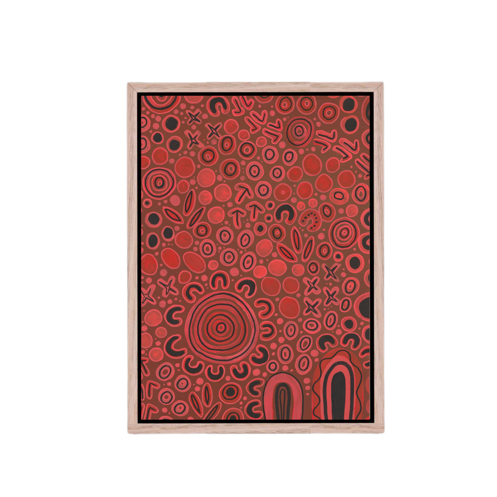 Melbourne Renegades Canvas Print